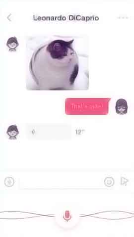 在线手机号轰炸软件